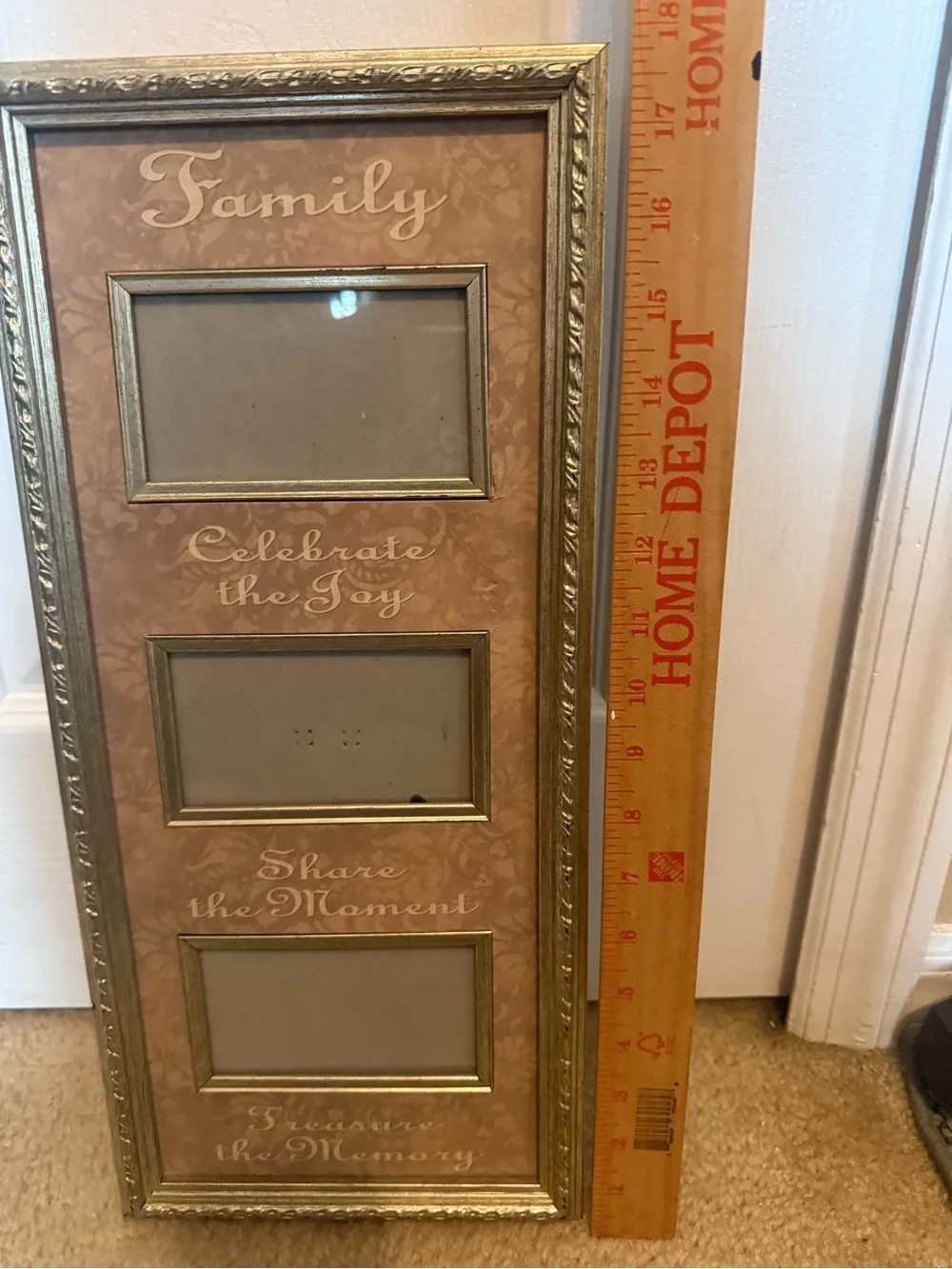 Family Multi-Opening Photo Frame - Gold and Tan